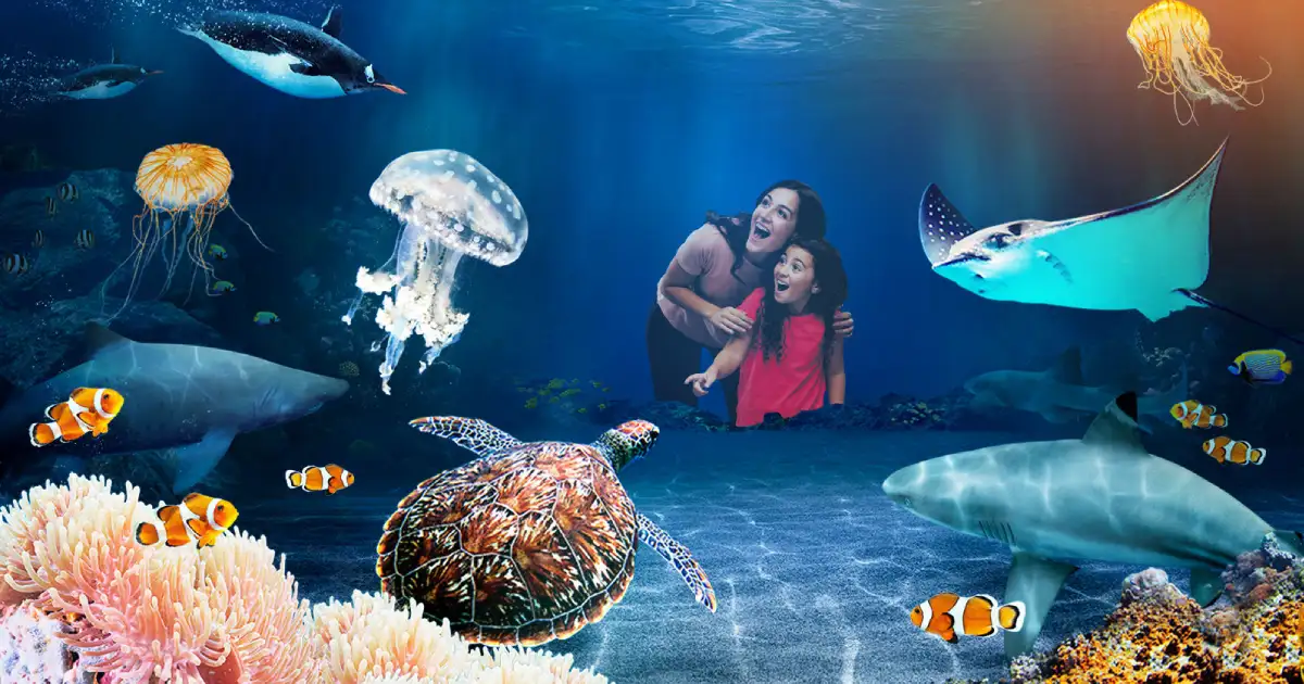 sealife