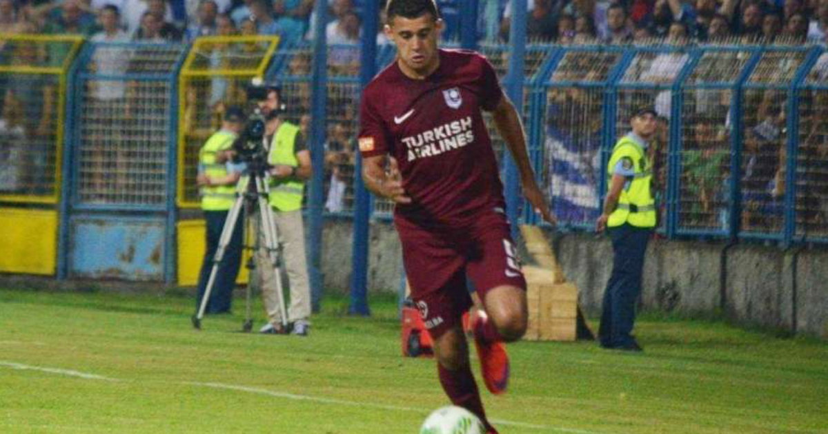 nermin crnkić