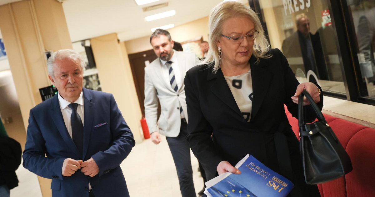 lendo stojanović bradara