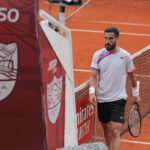 damir džumhur
