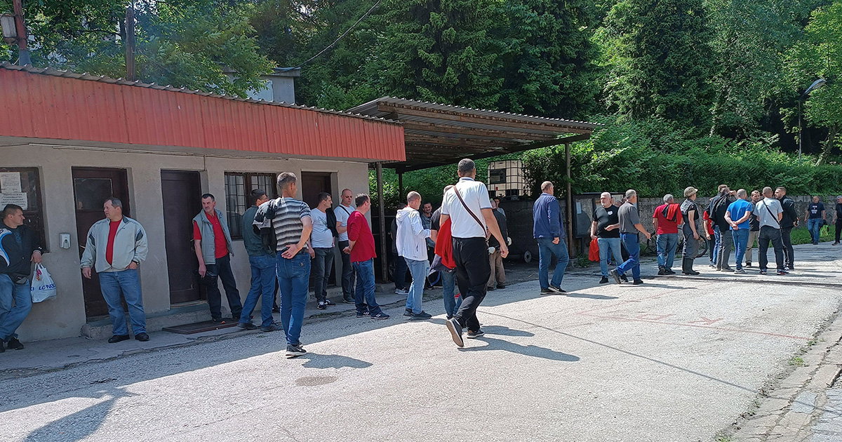 rudari zenica