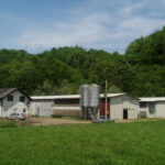 farma pilića, srebrenica