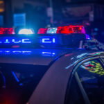 policija sad