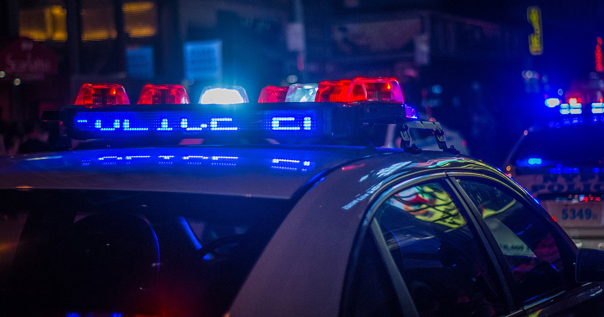 policija sad
