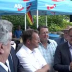 AfD