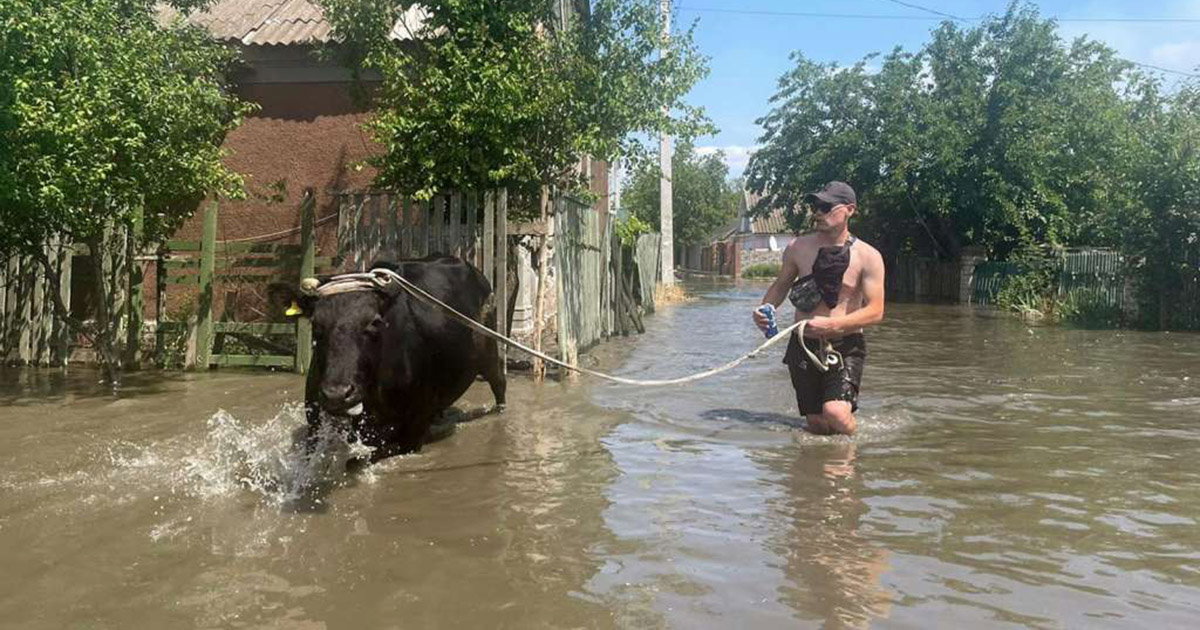 brana ukrajina