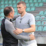 dzeko hadzibegic