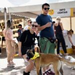 dogs trust