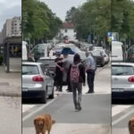 lukavac hapsenje ucenika