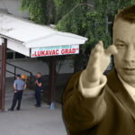 nenad nešić lukavac