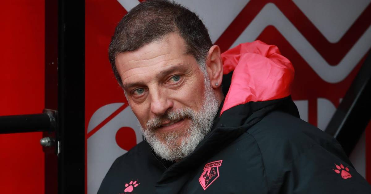 slaven bilić