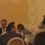 vucic seselj