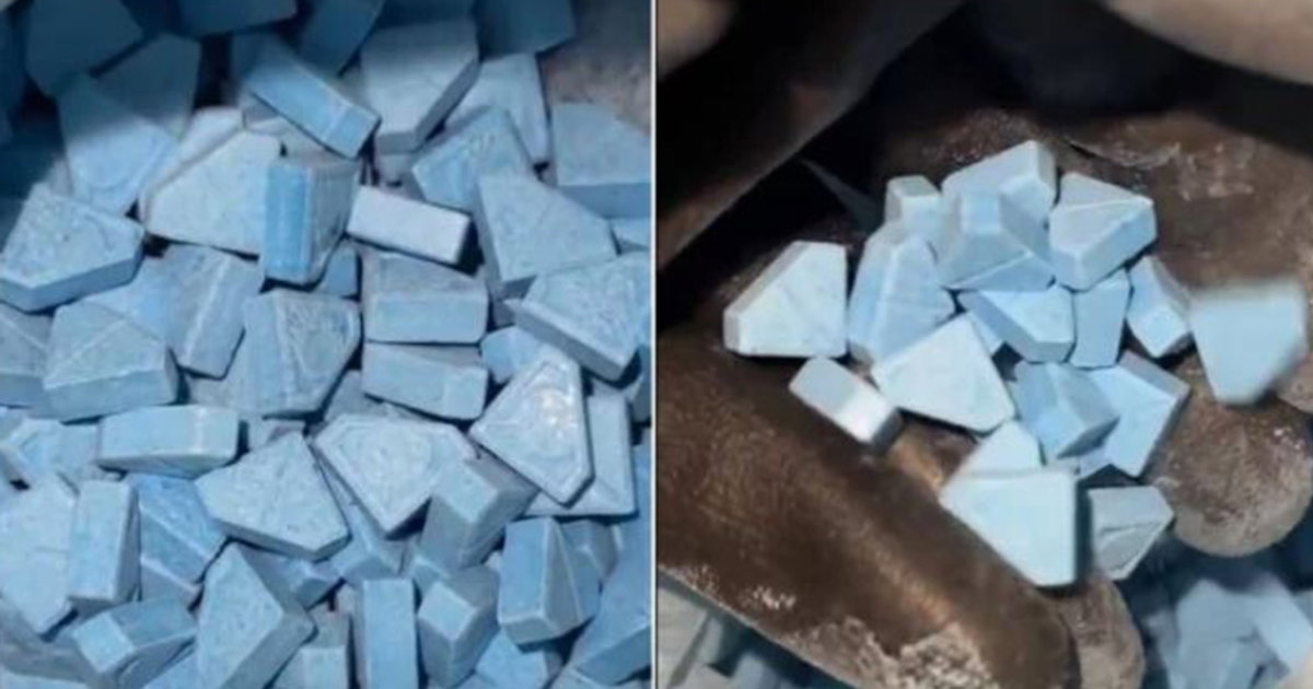 blue punisher droga