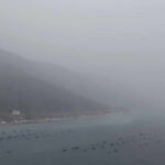 neum kisa