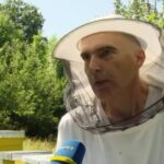 Branimir Tamindzija