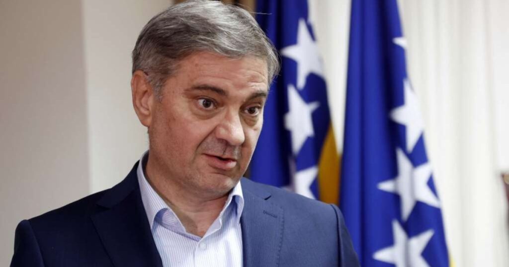 denis zvizdić