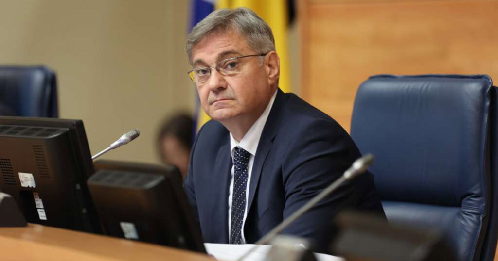 denis zvizdic