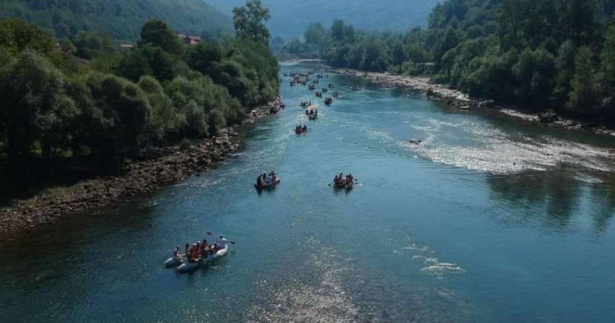 drinska regata
