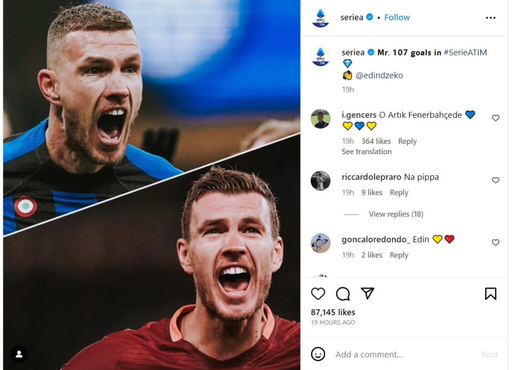 edin džeko