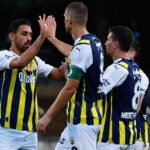 fener dzeko twitter