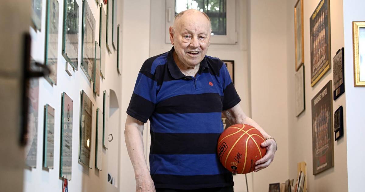 mirko novosel