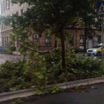 olujni vjetar