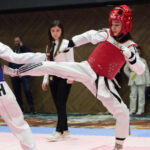Taekwondo