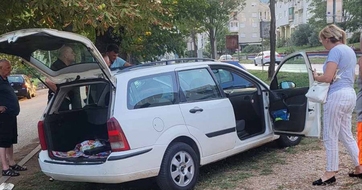 trebinje zmija