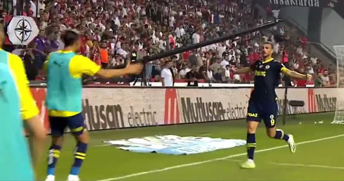 edin dzeko fenerbahce