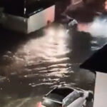 frankfurt poplave