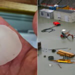 led i italija