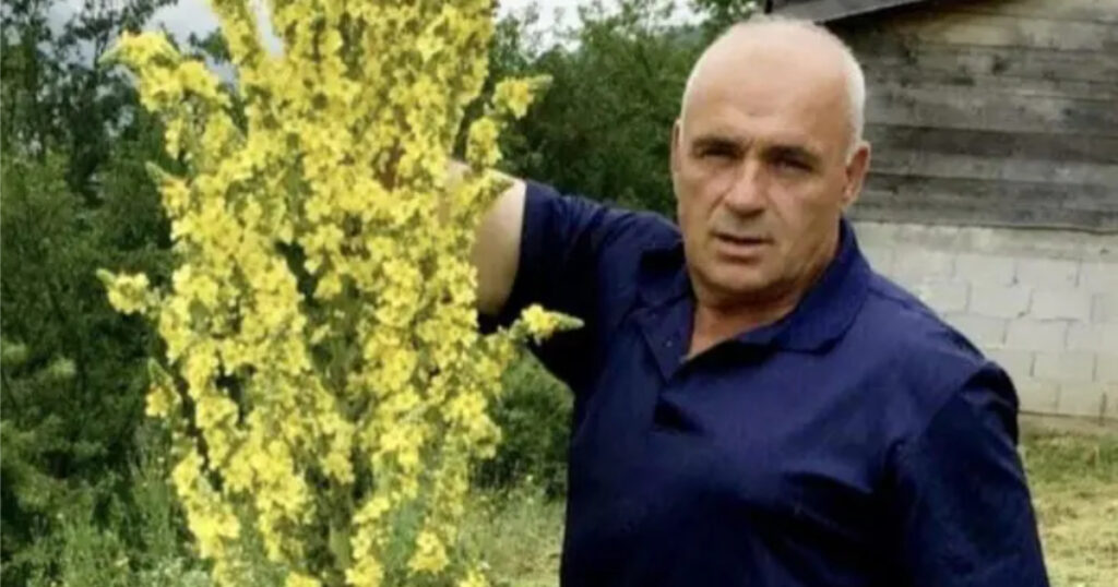 petar govedarica
