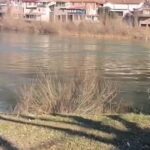 drina