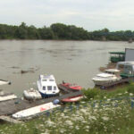 sava