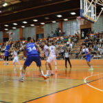 cibona bosna