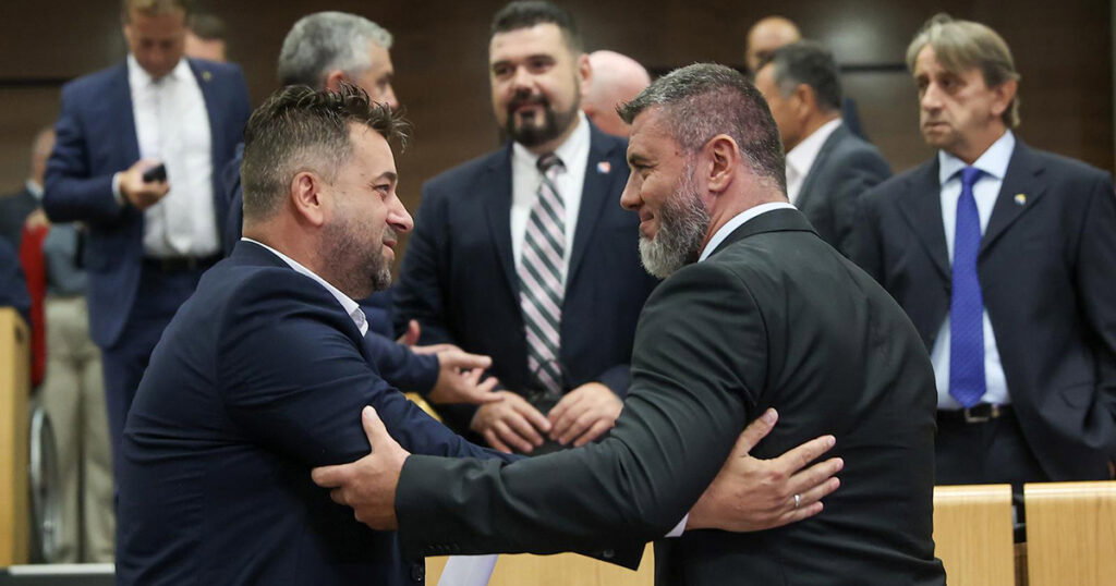 zildzic parlament fbih