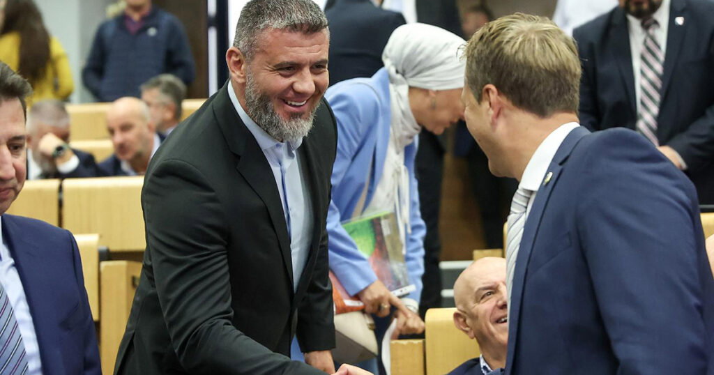 Zildzic parlament fbih