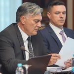 siniša karan