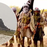 al kaida