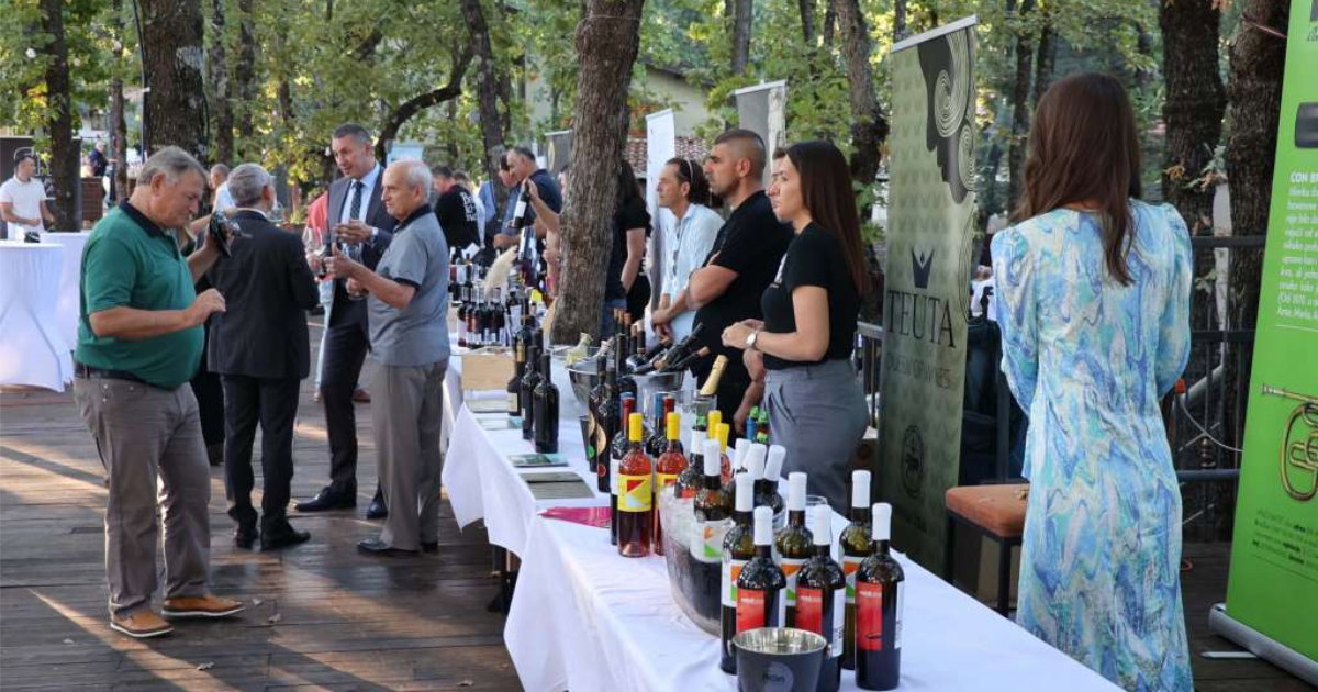 blaz enology vino