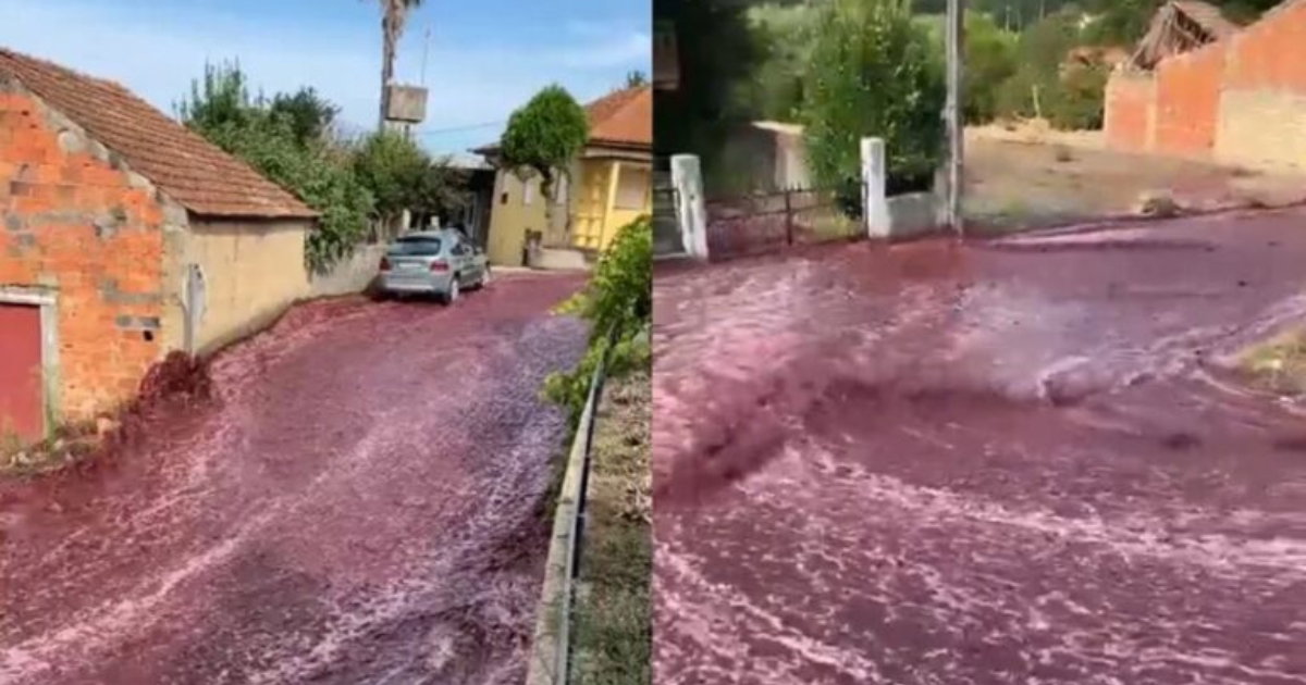 crveno vino bujica