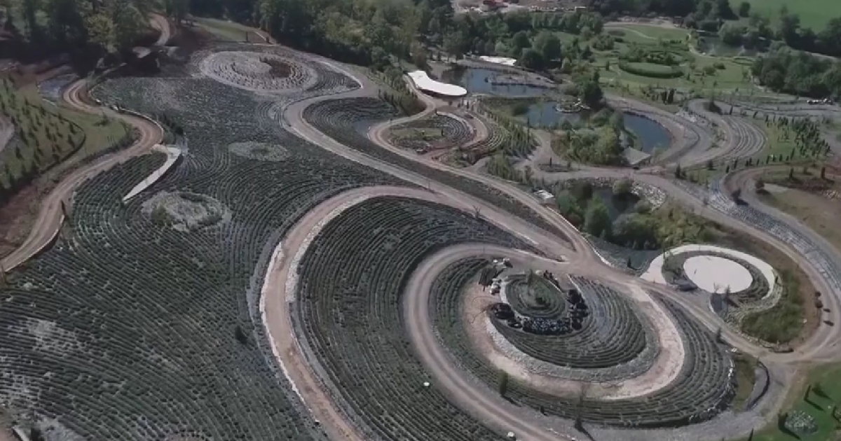 halim zulic park visoko van gogh