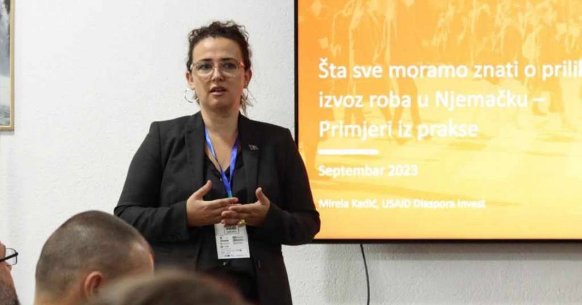 mirela kadić usaid