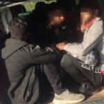 migranti