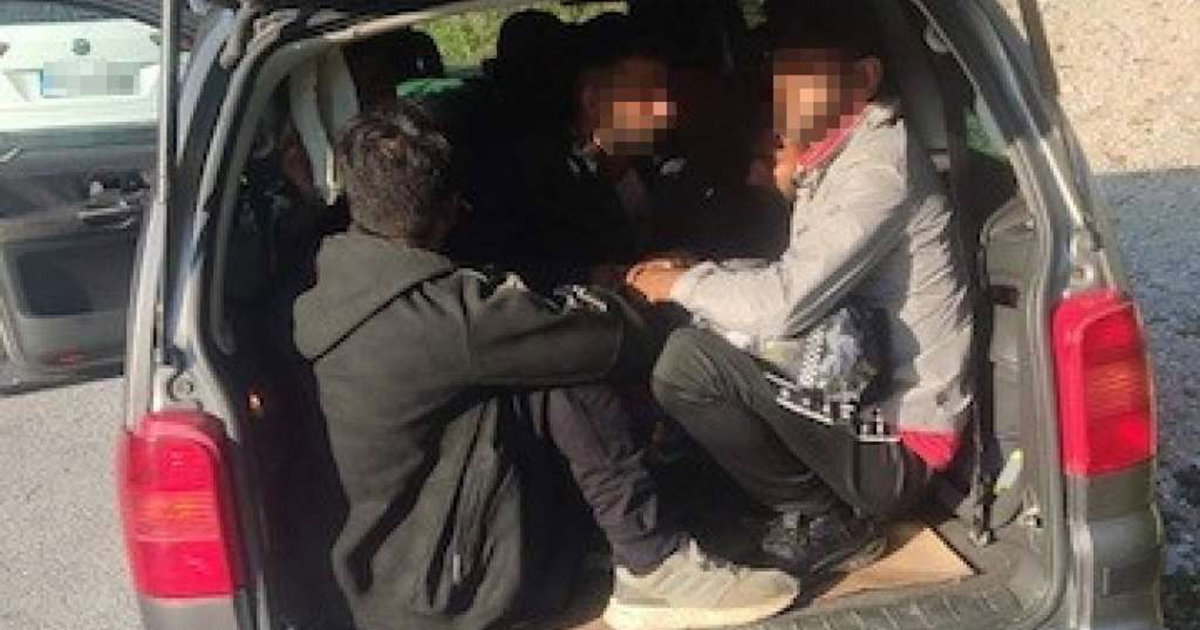 migranti
