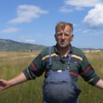 mevludin