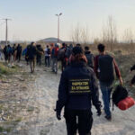 migranti