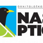nase ptice