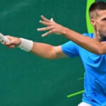 nerman fatic davis cup