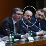 vucic radoicic
